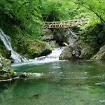 дара