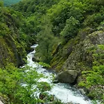 дара Kalofer