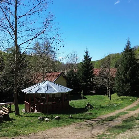 дара