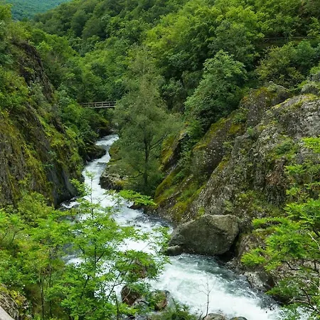 дара Kalofer