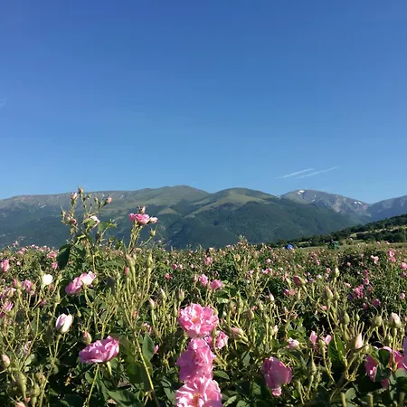 дара Konukevi Kalofer