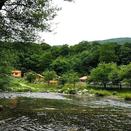 дара Guest house