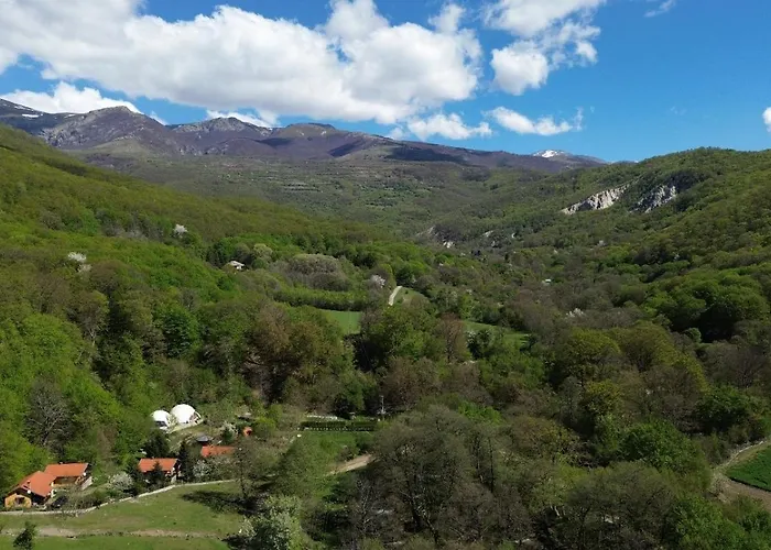 Guest house дара 3*