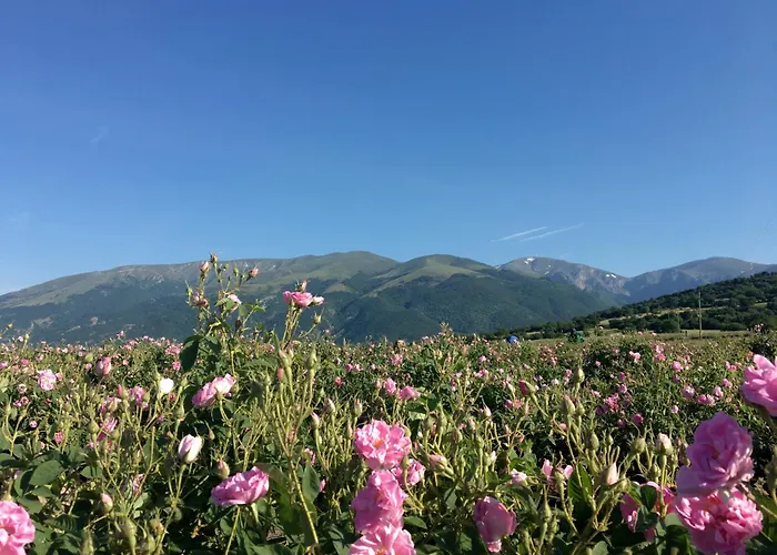 дара Guest house Kalofer