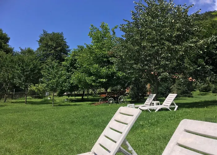 Guest house дара 3*